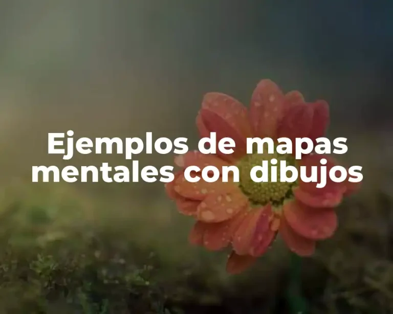 Ejemplos de mapas mentales con dibujos