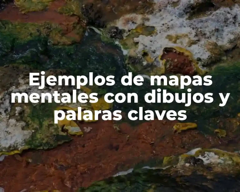 Ejemplos de mapas mentales con dibujos y palaras claves