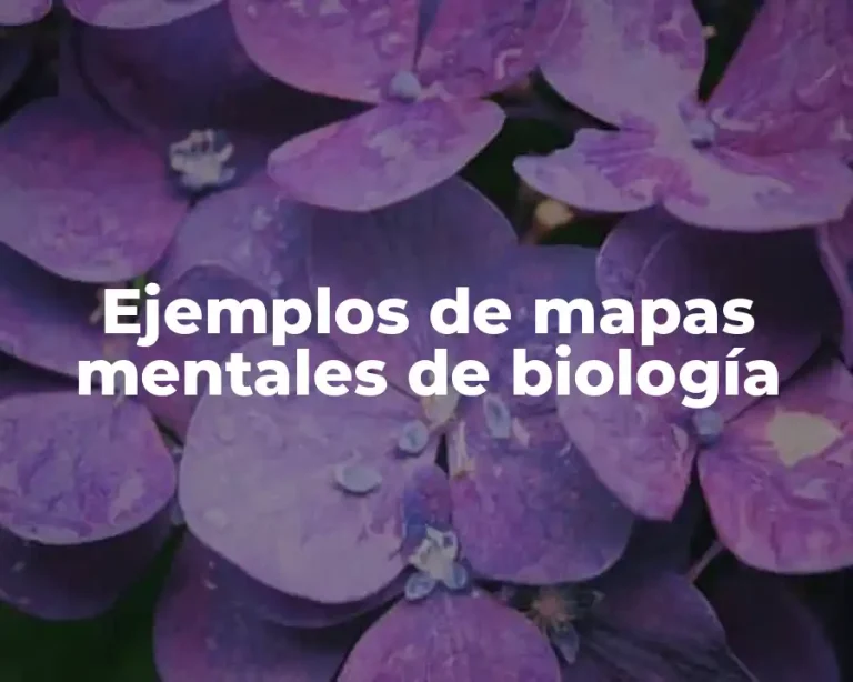 Ejemplos de mapas mentales de biología