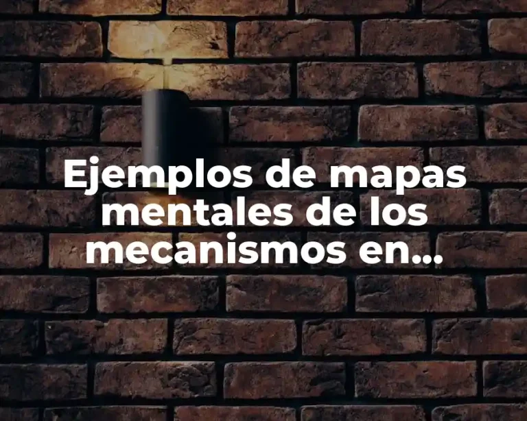 Ejemplos de mapas mentales de los mecanismos en economía