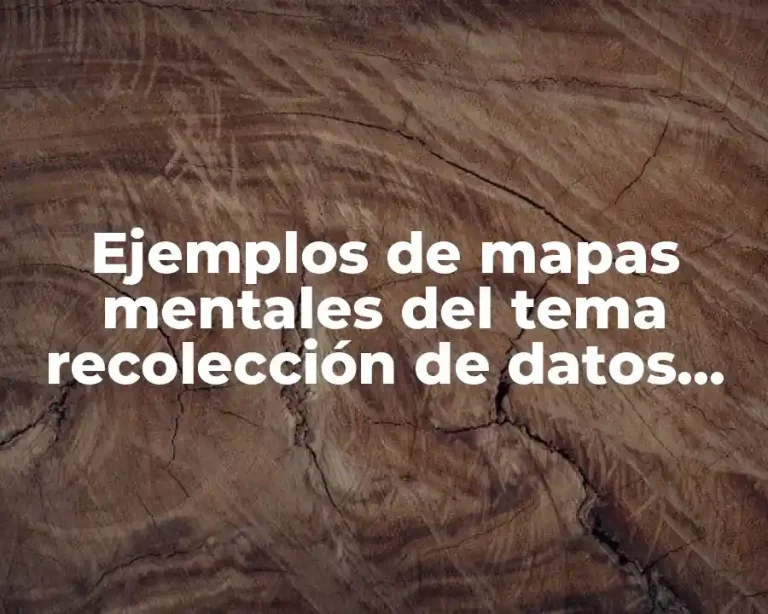 Ejemplos de mapas mentales del tema recolección de datos estadísticas