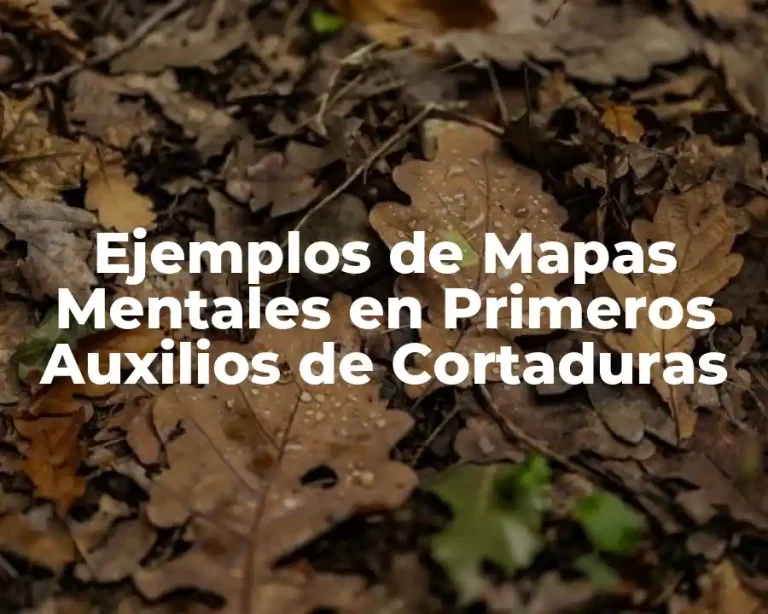 Ejemplos de Mapas Mentales en Primeros Auxilios de Cortaduras