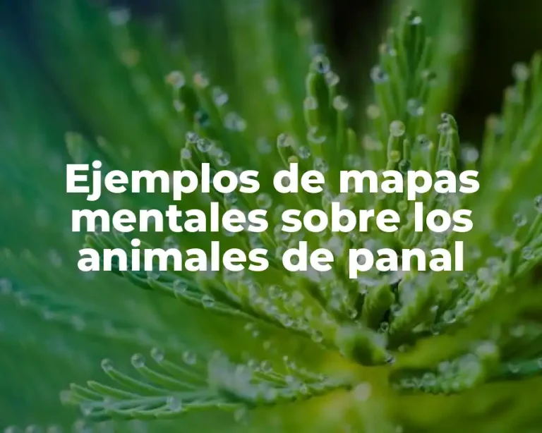 Ejemplos de mapas mentales sobre los animales de panal