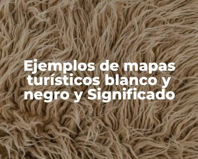 Ejemplos de mapas turísticos blanco y negro y Significado