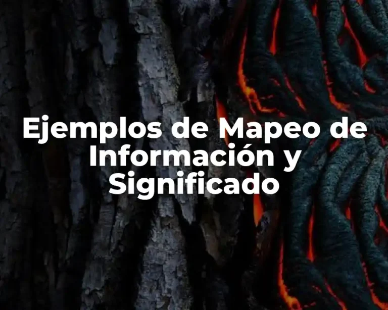 Ejemplos de Mapeo de Información y Significado