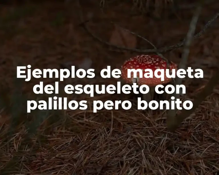 Ejemplos de maqueta del esqueleto con palillos pero bonito