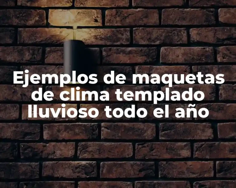 Ejemplos de maquetas de clima templado lluvioso todo el año