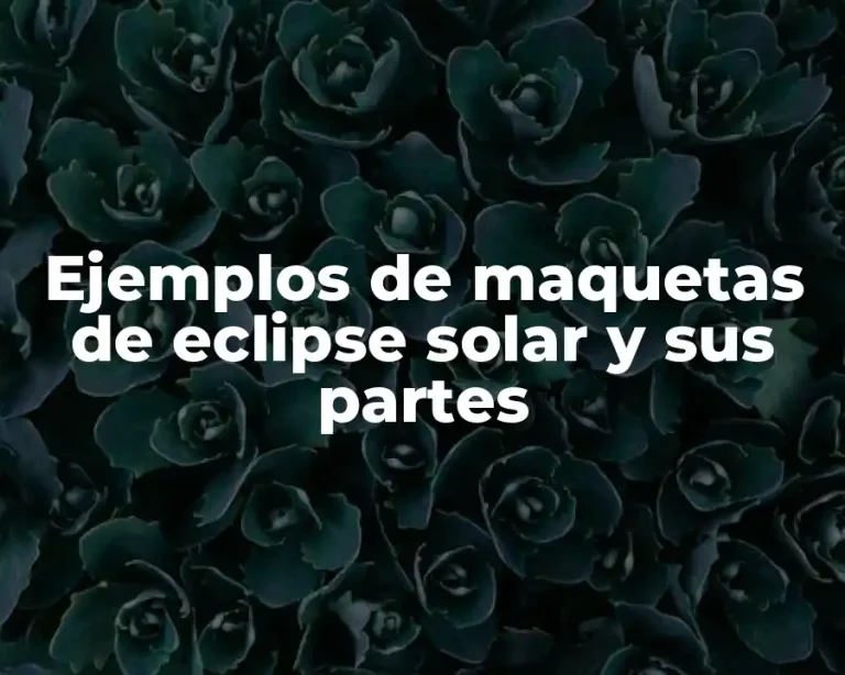 Ejemplos de maquetas de eclipse solar y sus partes