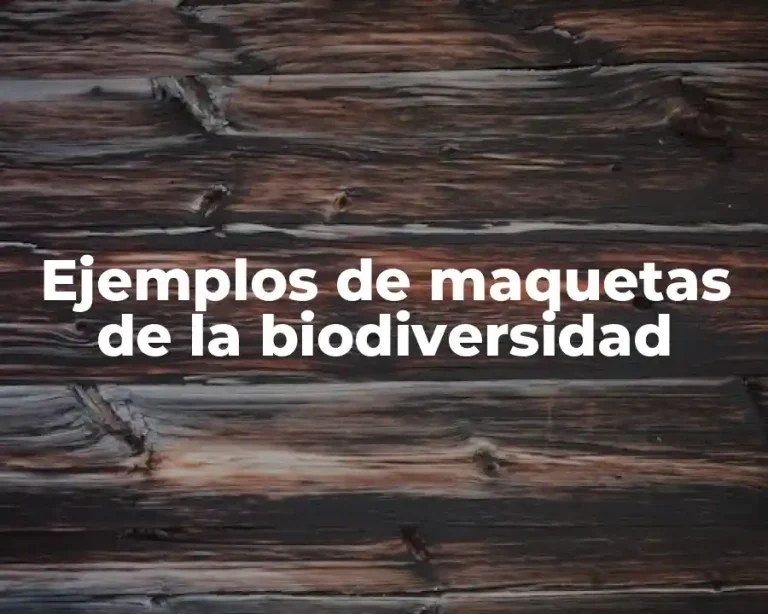 Ejemplos de maquetas de la biodiversidad