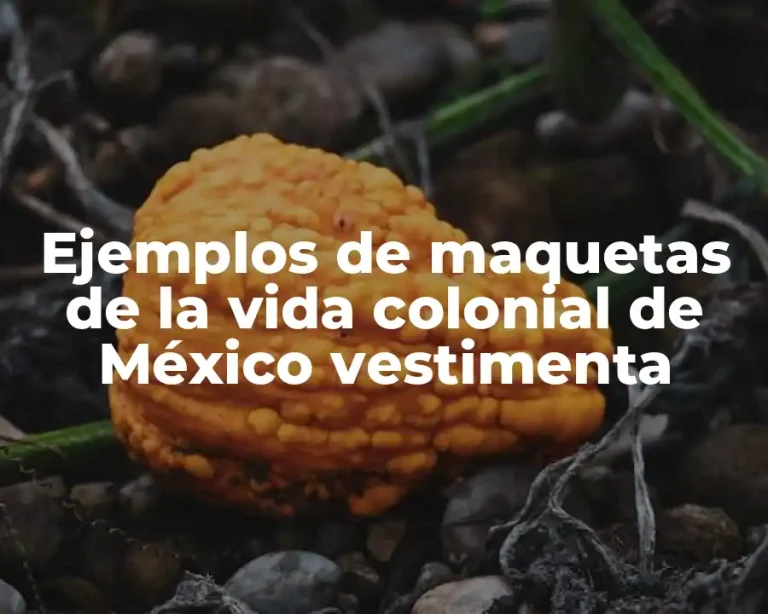 Ejemplos de maquetas de la vida colonial de México vestimenta