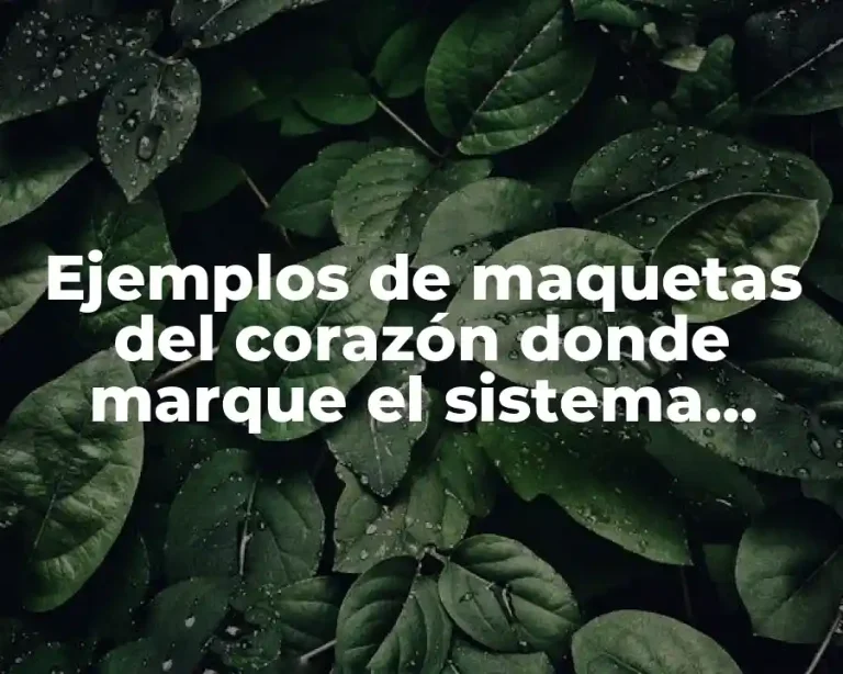 Ejemplos de maquetas del corazón donde marque el sistema eléctrico