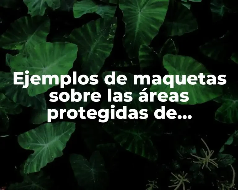 Ejemplos de maquetas sobre las áreas protegidas de Venezuela