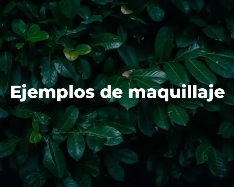 Ejemplos de maquillaje