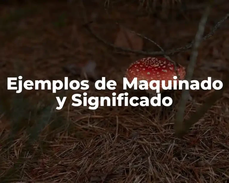 Ejemplos de Maquinado y Significado