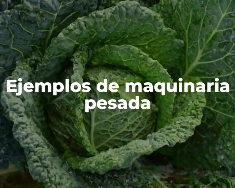 Ejemplos de maquinaria pesada