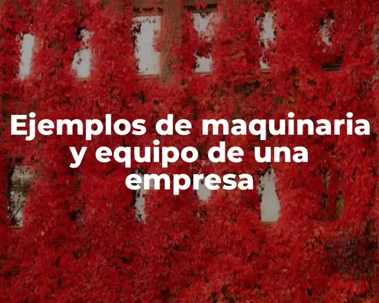 Ejemplos de maquinaria y equipo de una empresa