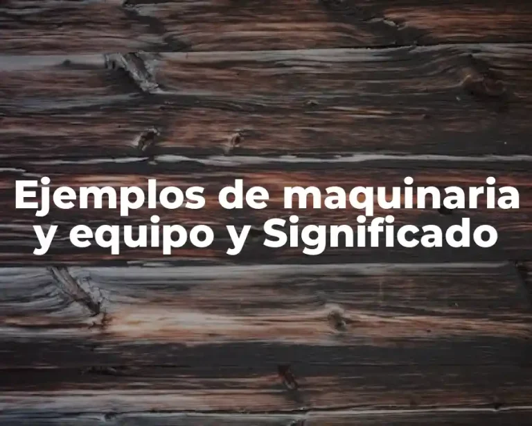 Ejemplos de maquinaria y equipo y Significado