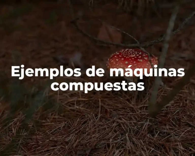 Ejemplos de máquinas compuestas
