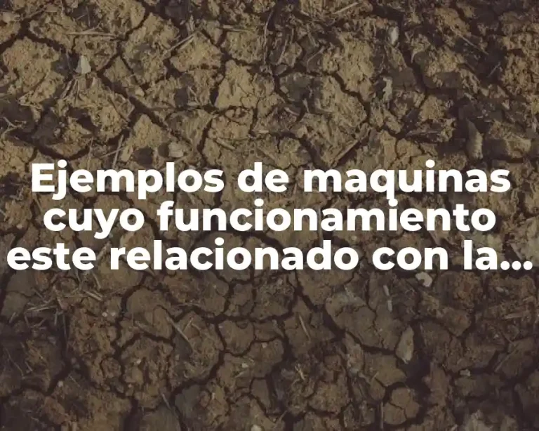 Ejemplos de maquinas cuyo funcionamiento este relacionado con la biotecnología y Significado