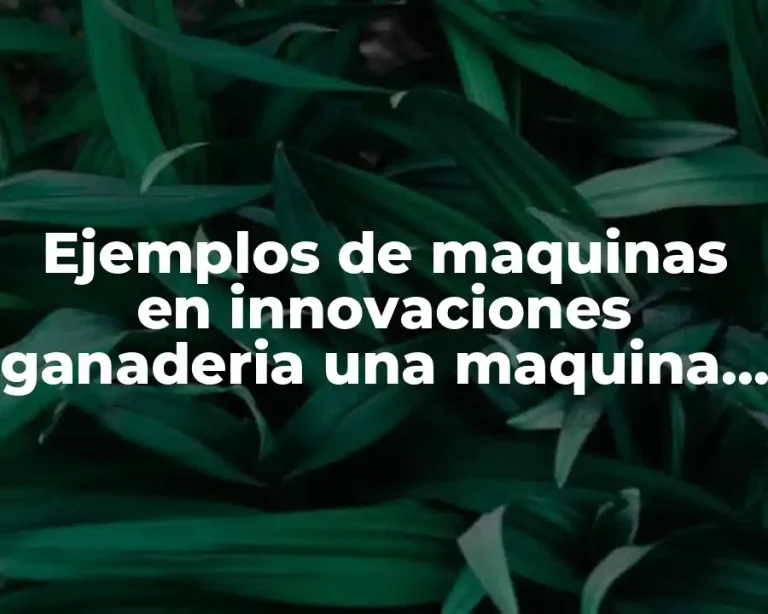 Ejemplos de maquinas en innovaciones ganaderia una maquina regadora