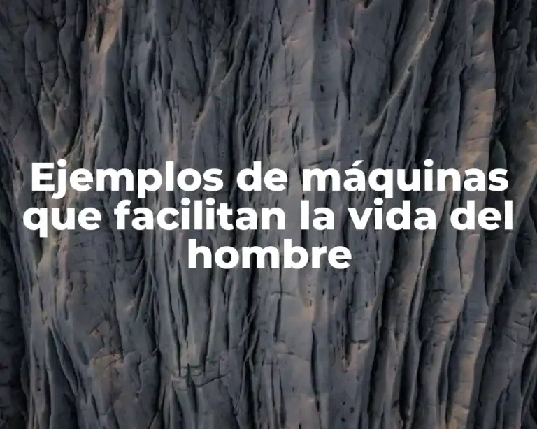 Ejemplos de máquinas que facilitan la vida del hombre
