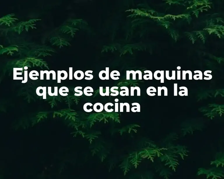 Ejemplos de maquinas que se usan en la cocina