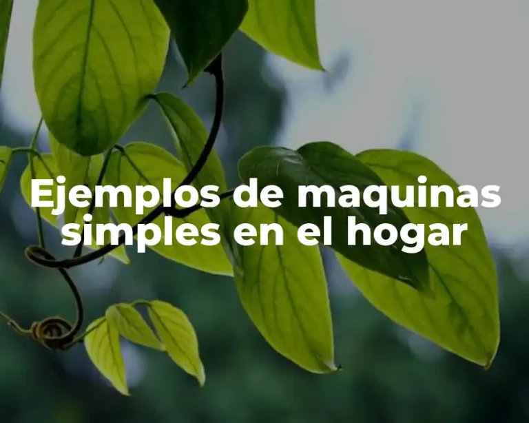 Ejemplos de maquinas simples en el hogar