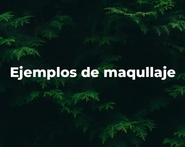Ejemplos de maqullaje