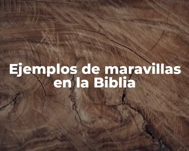 Ejemplos de maravillas en la Biblia