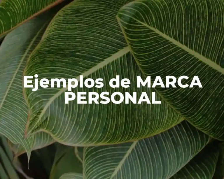 Ejemplos de MARCA PERSONAL
