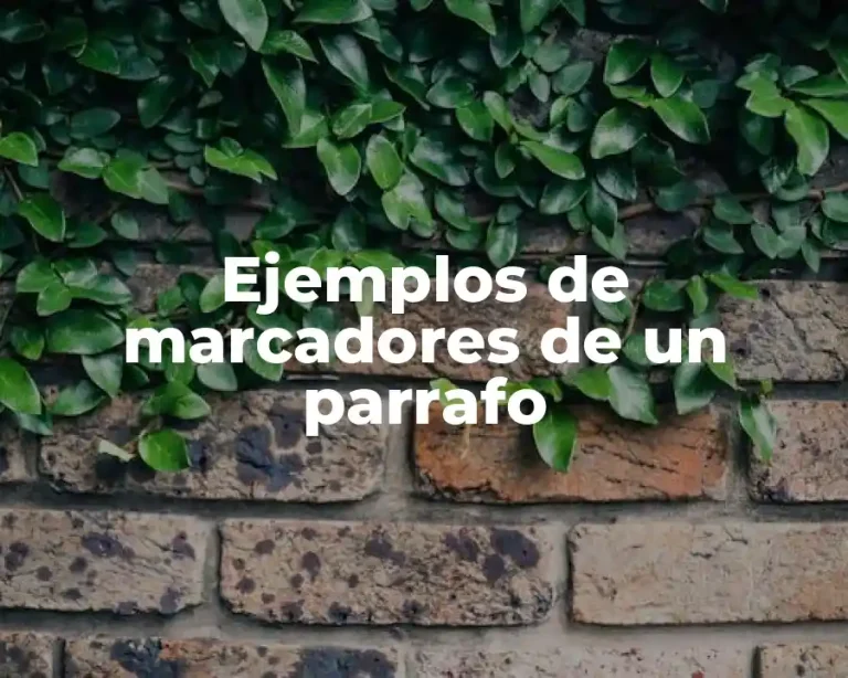 Ejemplos de marcadores de un parrafo