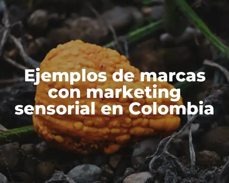 Ejemplos de marcas con marketing sensorial en Colombia