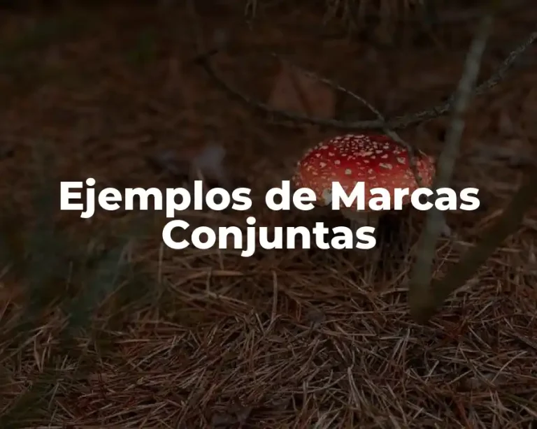 Ejemplos de Marcas Conjuntas