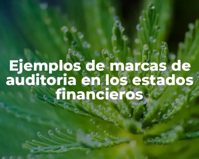 Ejemplos de marcas de auditoria en los estados financieros