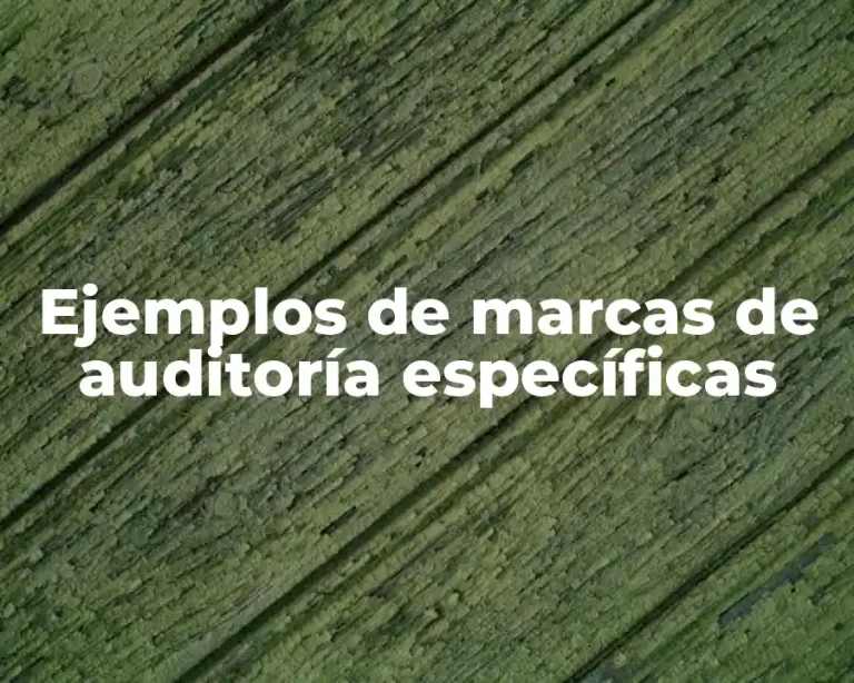 Ejemplos de marcas de auditoría específicas