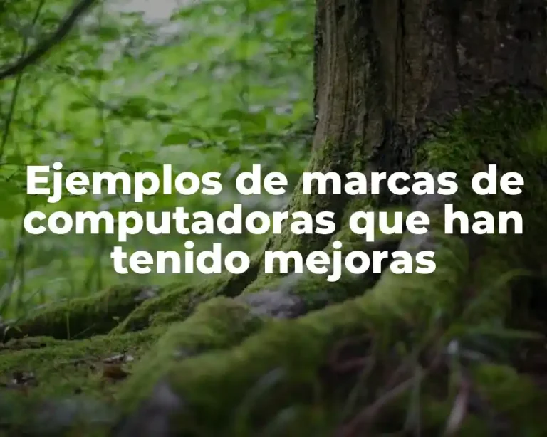 Ejemplos de marcas de computadoras que han tenido mejoras