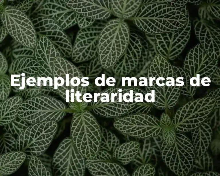 Ejemplos de marcas de literaridad