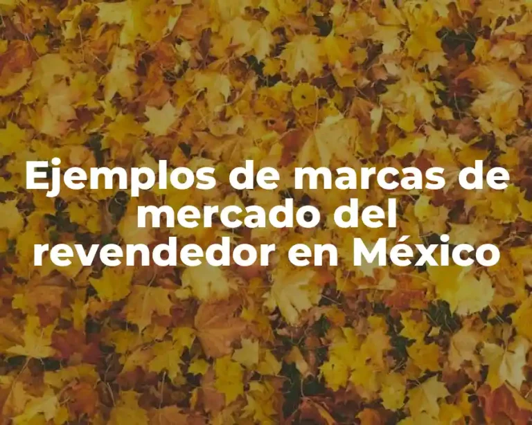 Ejemplos de marcas de mercado del revendedor en México