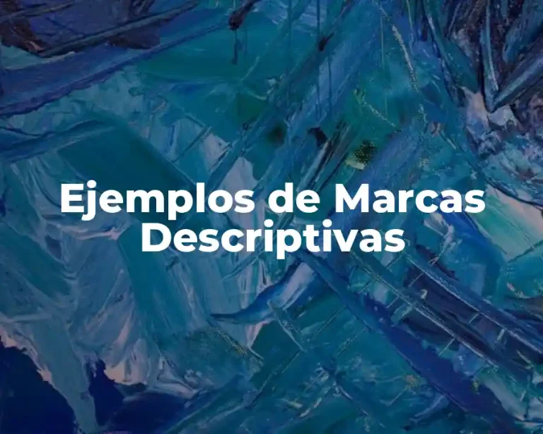 Ejemplos de Marcas Descriptivas