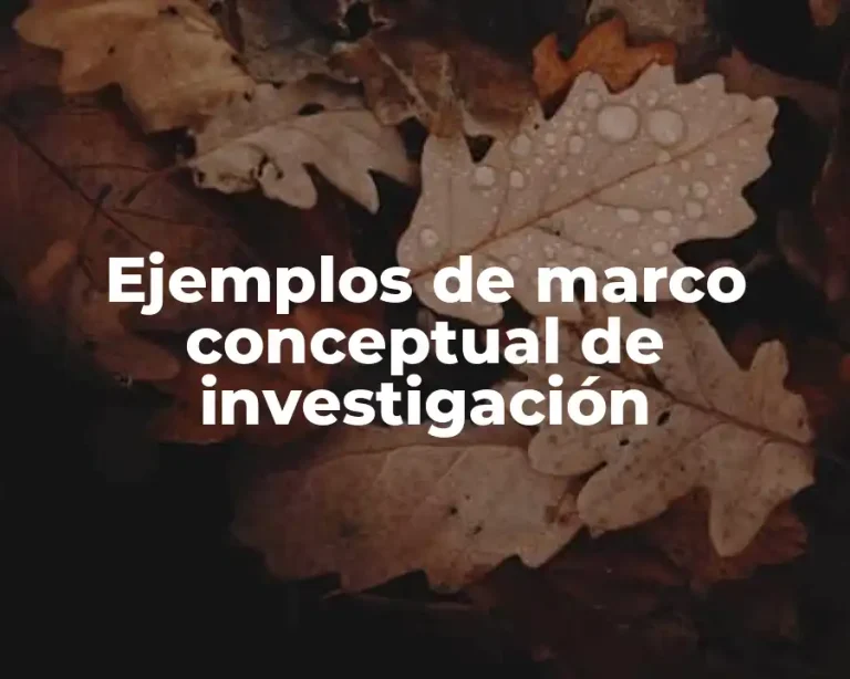 Ejemplos de marco conceptual de investigación