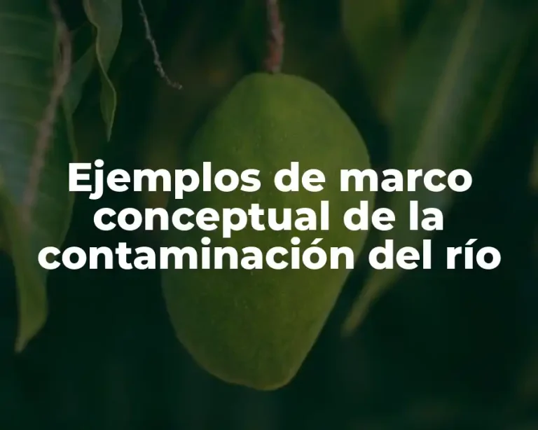 Ejemplos de marco conceptual de la contaminación del río