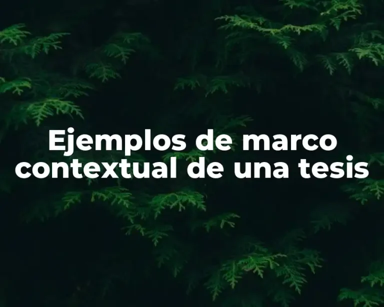 Ejemplos de marco contextual de una tesis