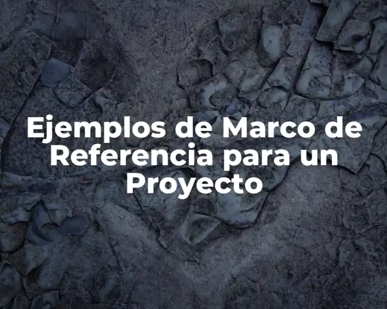 Ejemplos de Marco de Referencia para un Proyecto