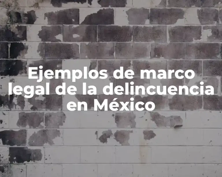 Ejemplos de marco legal de la delincuencia en México
