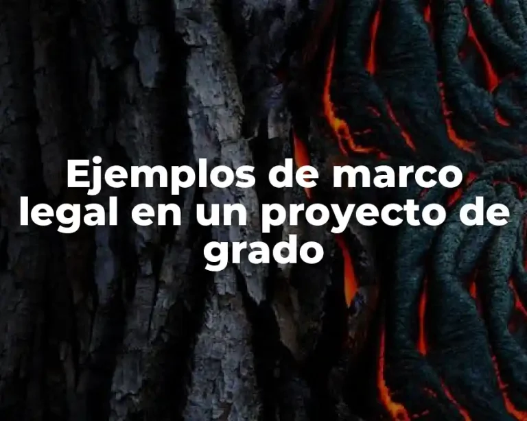 Ejemplos de marco legal en un proyecto de grado