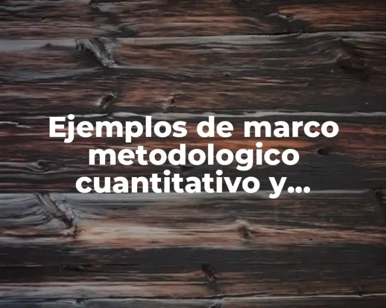 Ejemplos de marco metodologico cuantitativo y Significado