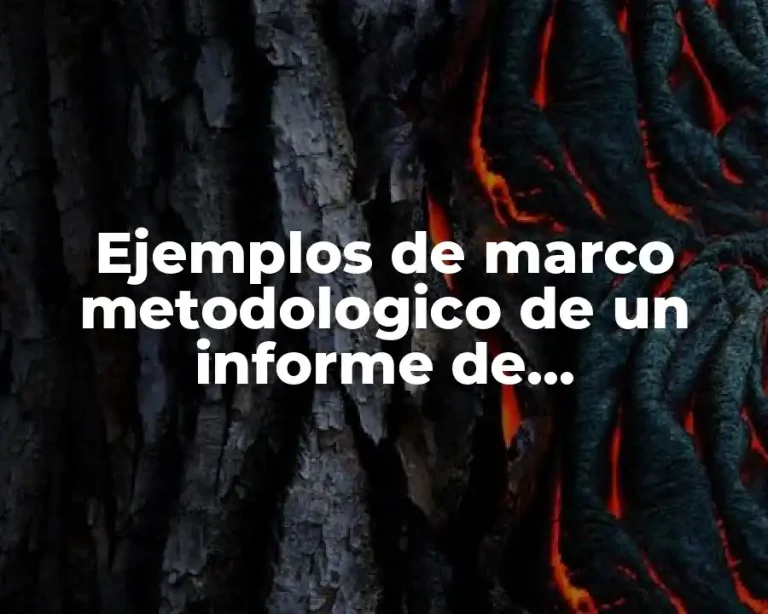 Ejemplos de marco metodologico de un informe de investigación