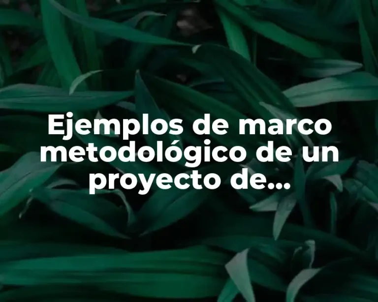Ejemplos de marco metodológico de un proyecto de investigación