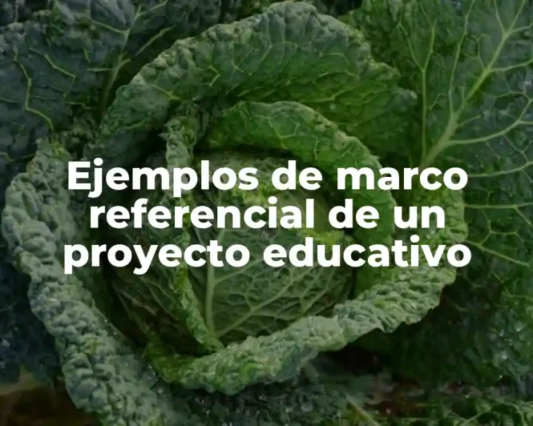 Ejemplos de marco referencial de un proyecto educativo