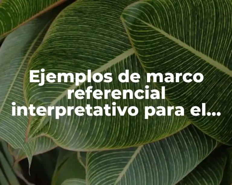 Ejemplos de marco referencial interpretativo para el método cualitativo
